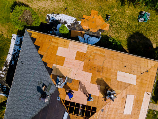 Best Metal Roofing Contractor  in Manhattan, KS